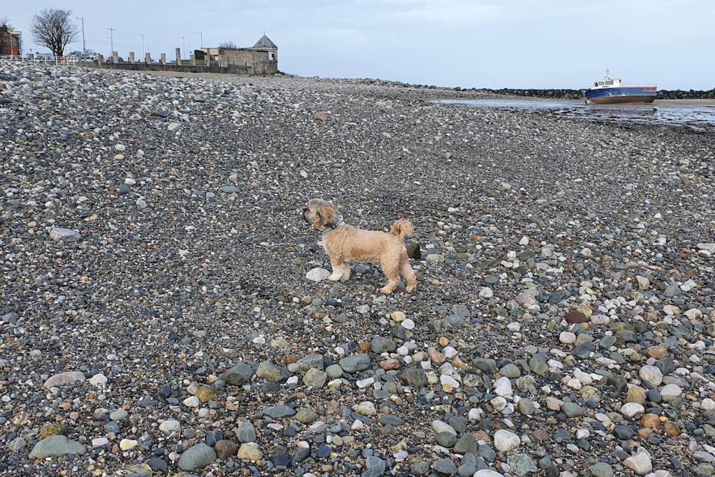 Welcome To The Beach House! Rhôs-on-Sea Eksteriør billede